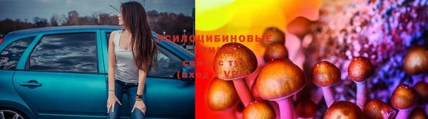герыч Богданович